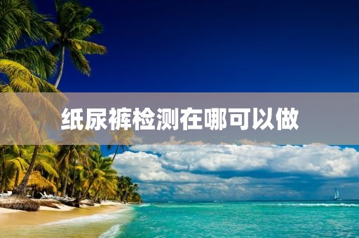 纸尿裤检测在哪可以做