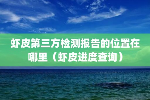 虾皮第三方检测报告的位置在哪里（虾皮进度查询）